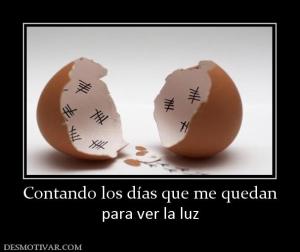 Contando los días que me quedan para ver la luz
