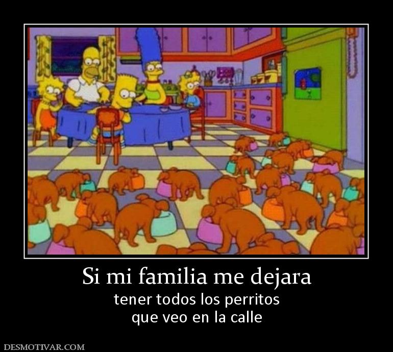 Si mi familia me dejara tener todos los perritos que veo en la calle
