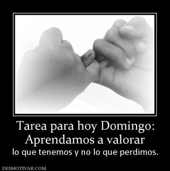 Tarea para hoy Domingo: Aprendamos a valorar  lo que tenemos y no lo que perdimos.