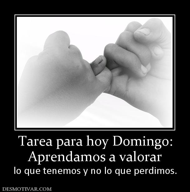 Tarea para hoy Domingo: Aprendamos a valorar  lo que tenemos y no lo que perdimos.