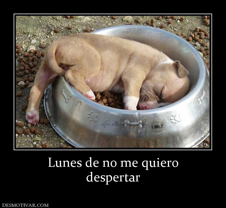 Lunes de no me quiero despertar