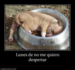 Lunes de no me quiero despertar