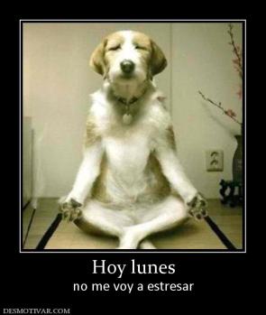 Hoy lunes no me voy a estresar