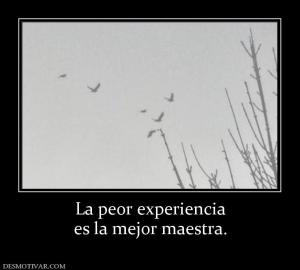 La peor experiencia es la mejor maestra.
