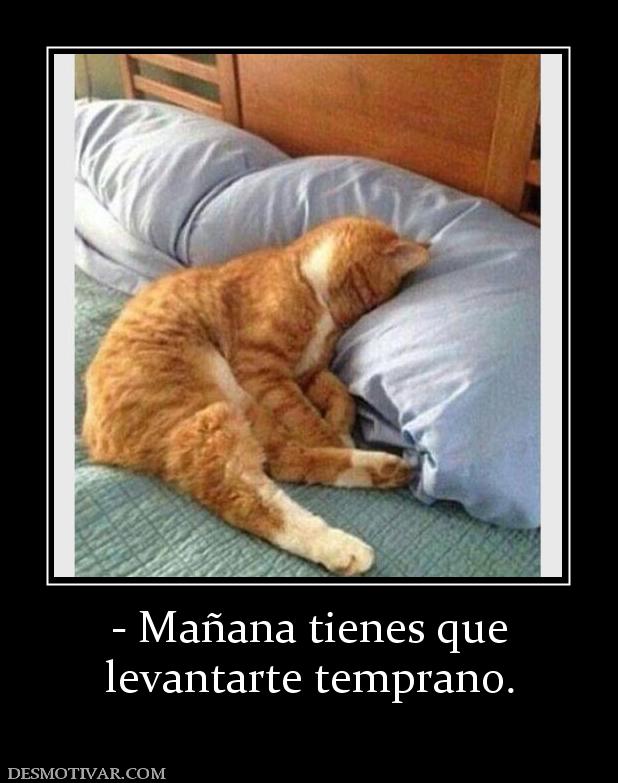 - Mañana tienes que levantarte temprano.