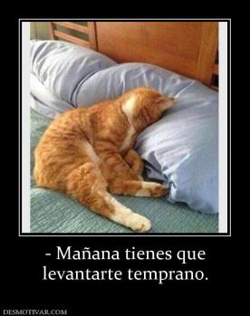- Mañana tienes que levantarte temprano.