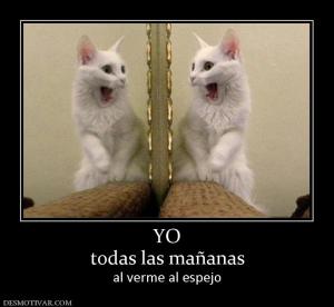 YO todas las mañanas al verme al espejo