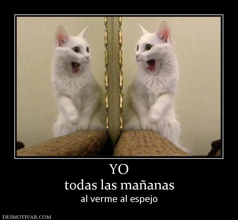 YO todas las mañanas al verme al espejo
