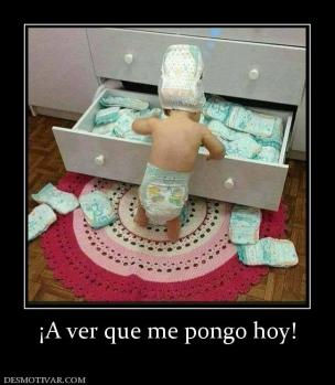 ¡A ver que me pongo hoy!