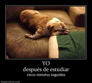 YO después de estudiar cinco minutos seguidos