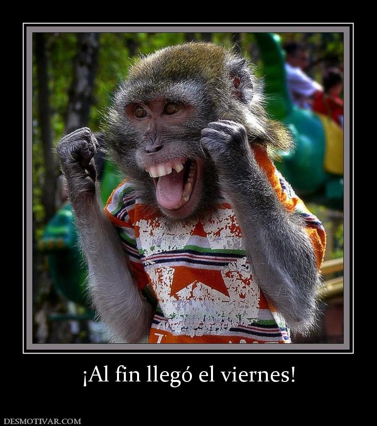 ¡Al fin llegó el viernes!