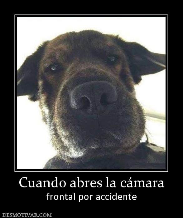Cuando abres la cámara frontal por accidente