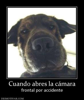 Cuando abres la cámara frontal por accidente