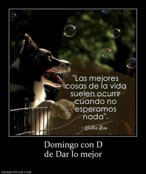 Domingo con D de Dar lo mejor