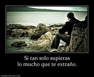 Si tan solo supieras lo mucho que te extraño.