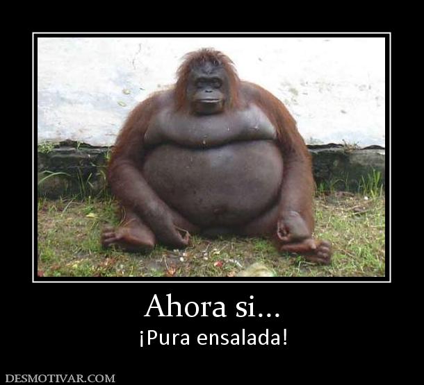 Ahora si... ¡Pura ensalada!