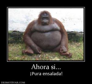 Ahora si... ¡Pura ensalada!