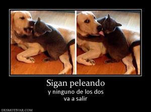 Sigan peleando y ninguno de los dos va a salir