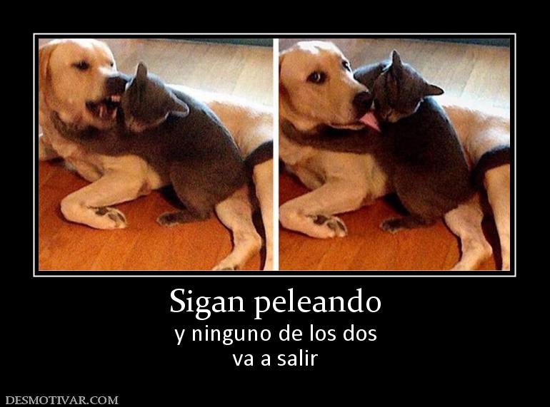 Sigan peleando y ninguno de los dos va a salir