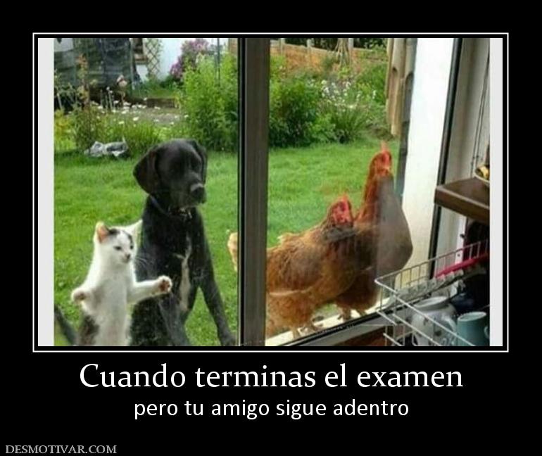 Cuando terminas el examen pero tu amigo sigue adentro