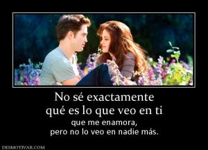 No sé exactamente qué es lo que veo en ti que me enamora, pero no lo veo en nadie más.