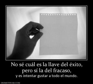 No sé cuál es la llave del éxito, pero sí la del fracaso,    y es intentar gustar a todo el mundo.