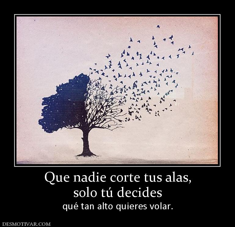 Que nadie corte tus alas, solo tú decides qué tan alto quieres volar.