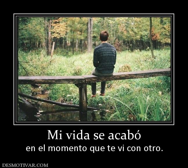 Mi vida se acabó en el momento que te vi con otro.