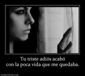 Tu triste adiós acabó con la poca vida que me quedaba.