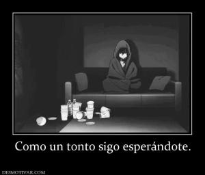 Como un tonto sigo esperándote.