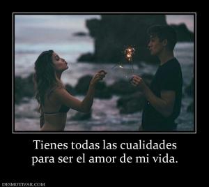 Tienes todas las cualidades para ser el amor de mi vida.