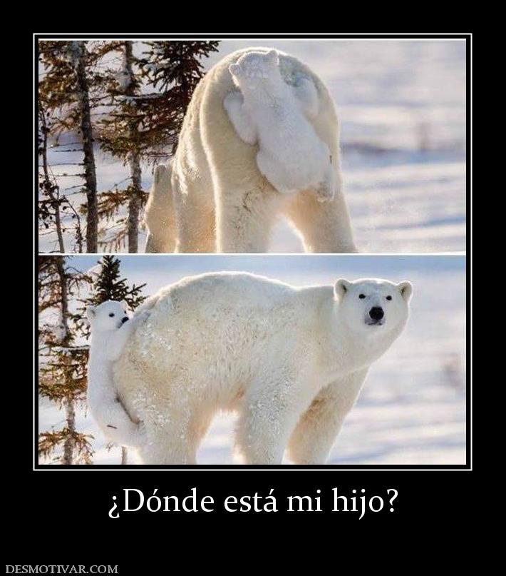 ¿Dónde está mi hijo?