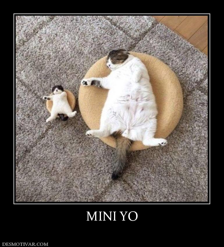 MINI YO