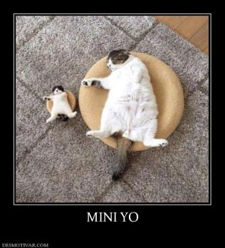 MINI YO