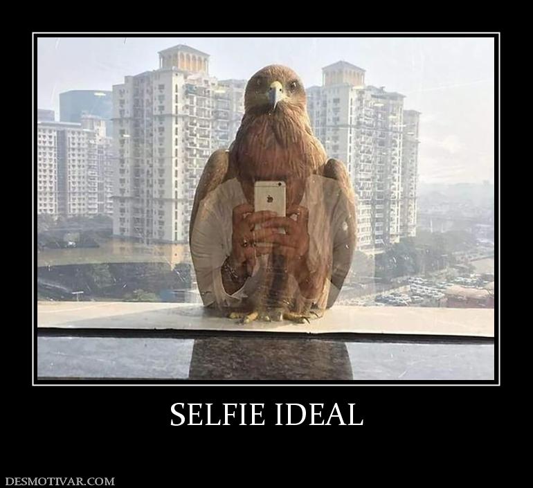 SELFIE IDEAL