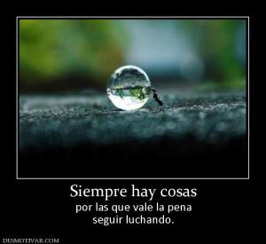 Siempre hay cosas por las que vale la pena seguir luchando.
