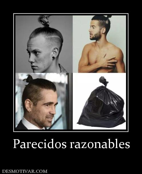 Parecidos razonables