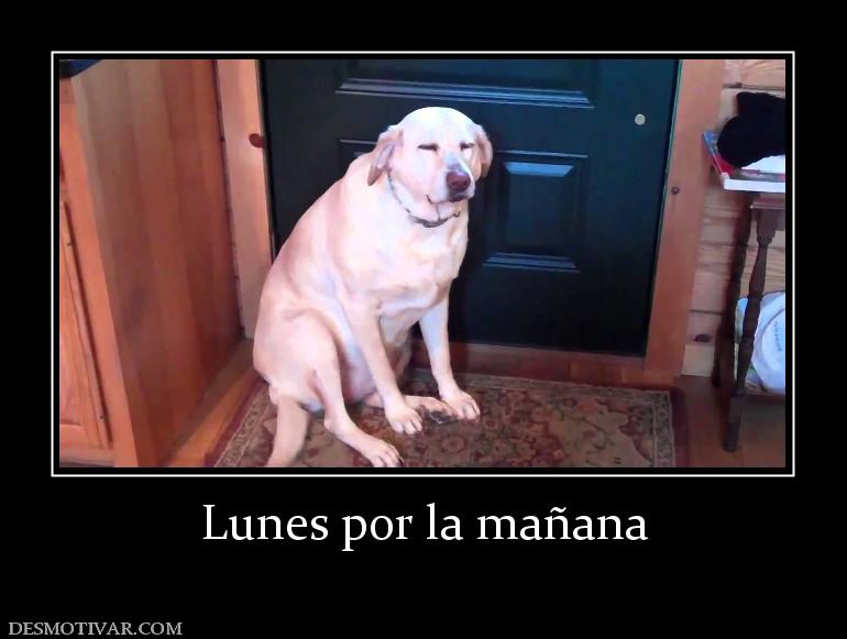 Lunes por la mañana