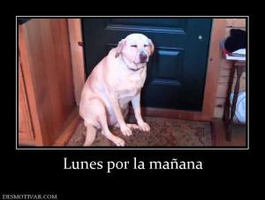 Lunes por la mañana