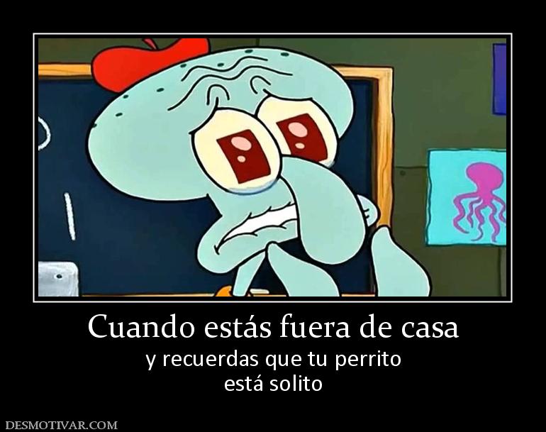 Cuando estás fuera de casa y recuerdas que tu perrito está solito