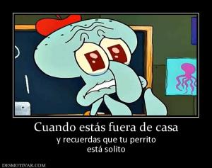 Cuando estás fuera de casa y recuerdas que tu perrito está solito