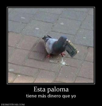 Esta paloma tiene más dinero que yo