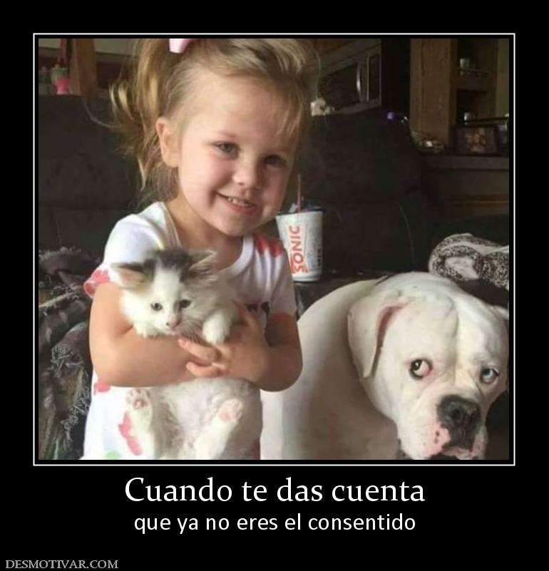 Cuando te das cuenta que ya no eres el consentido