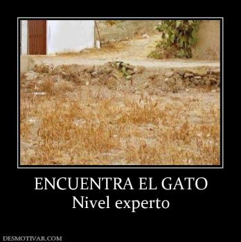 ENCUENTRA EL GATO Nivel experto