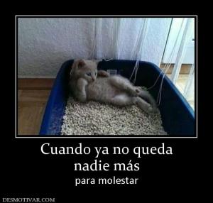 Cuando ya no queda nadie más para molestar