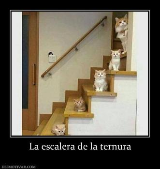 La escalera de la ternura