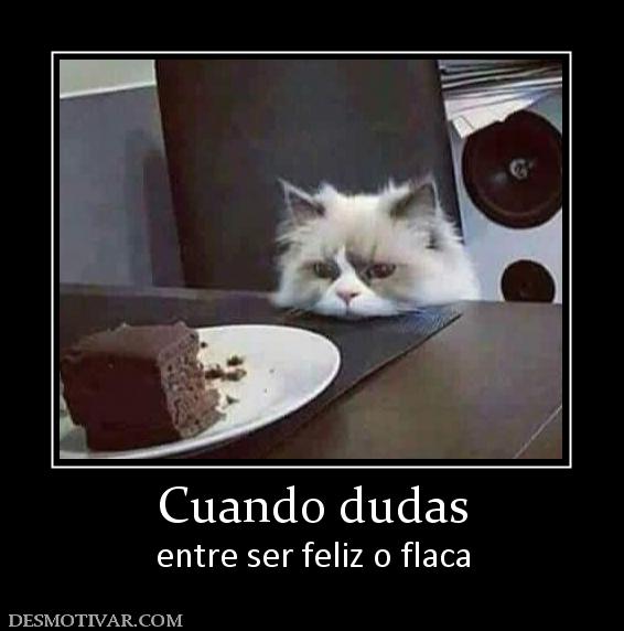 Cuando dudas entre ser feliz o flaca