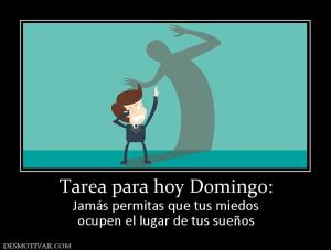 Tarea para hoy Domingo: Jamás permitas que tus miedos ocupen el lugar de tus sueños