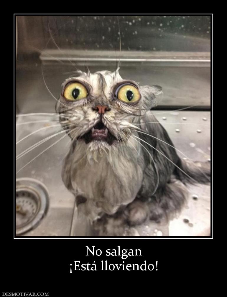 No salgan ¡Está lloviendo!