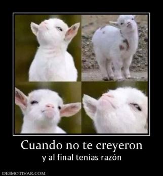 Cuando no te creyeron y al final tenías razón